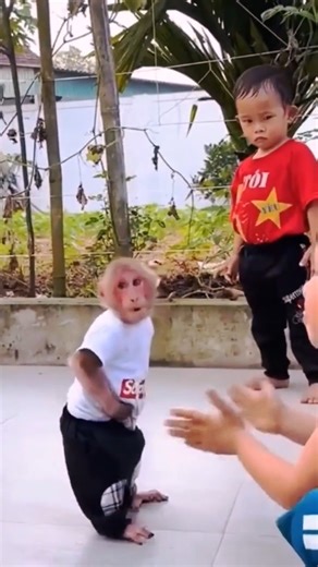 Bibi is so smart, and everyone loves him! 💖 Such a special little one! | Bibi's Fan