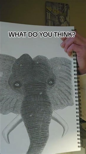 elephant graphite art #art #drawing #pencildrawing