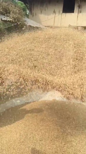 Surya bansi #foryoupagereels #Real | Shyam Sapkota