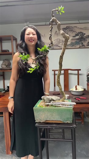 Bonsai Art: Creating Lush Miniature Landscapes