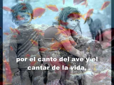 Salmo de la creación