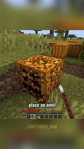 Best Tips For Minecraft Beginners 🔥🎮