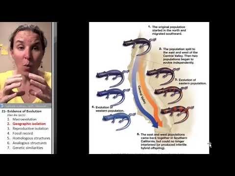 Evidence of Evolution 2- Geographic isolation