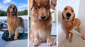 We Might Be a Little Stinky | Tucker Budzyn