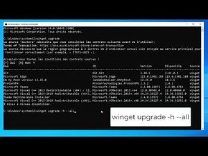 Upgrading All Programs on Windows with Winget