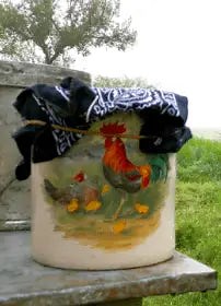 Quick Set Sourdough Starter Recipe