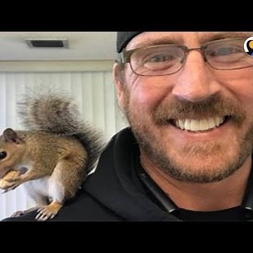 Baby Squirrels Rescued by Man Visit Him After He Sets Them Free | The Dodo