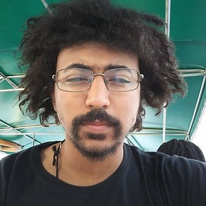 Lupuswolven - Twitch