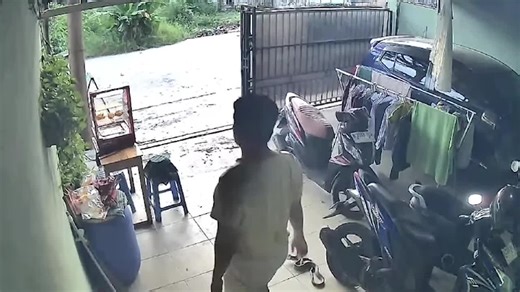 Brave villager removes snake at home in Indonesia