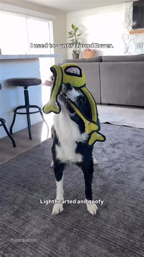 la•duke•b | Bryce LaDuc | Border Collie Dog Mom on Instagram: "#roverpartner Need pet sitters that make your dog happy? Use my code BRYCE25 valid through March for $25 off your first Rover booking - link in bio to book! Whether you have a high energy dog or a couch potato. Whether your dog needs a ball thrown or a two mile walk. Whether you need potty breaks or meals covered. Whether you need overnight care or care for a week. Rover has THEIR back. We recently had a last minute need for a drop-i