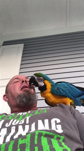 Einstein Yelling Fun - Hilarious Bird Video