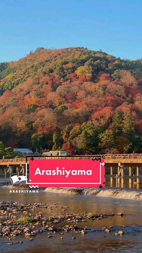 🍂 Arashiyama est l’un des endroits les plus pittoresques de Kyoto, encore plus en automne ! Entre le célèbre Togetsukyō (pont de la traversée de la lune), ses nombreux temples et sanctuaires, et la montagne ⛰ du même nom en arrière-plan, admirez les belles couleurs de l’automne sous toutes ses formes ! 📽 @a_yumi0425 #kyoto #japan #japon #arashiyama #momiji #koyo #automne #autumn #japanfall #travel #voyage #japantravel #京都 #嵐山