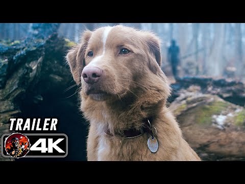 GOOD BOY | Official Trailer (2025) 4K