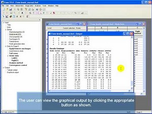 Oasys Frew 19.0 - Analysis and viewing of results