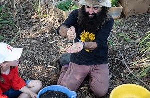 Soil – more than just dirt!