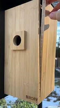 Birdfy Nest Smart Dual Camera Birdhouse