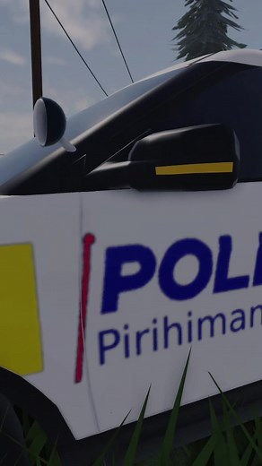 Discover the Best Liveries in Kiwi RP