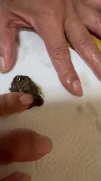 ⚠️Viewer discretion advised💩Pyonta🐸[260412] #pacmanfrog