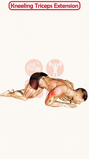 How to Build Bigger Triceps with Kneeling Cable Extensions. In this video, I will show you how to perform kneeling cable triceps extensions, a great exercise for isolating and stretching your triceps muscles. #triceps #cable #extension #kneeling #arm #workout #fitness #bodybuilding #muscle #strength #isolation #stretch #growth #form #technique #tips #exercise #video #youtube #rope #overhead #onearm #dropset #bench #pulley | Explore Health Blog