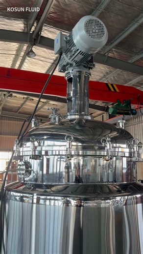 Pharmaceutical Mixing Solution: Inside Our Custom-Built 500L 316 Stainless Steel Tank