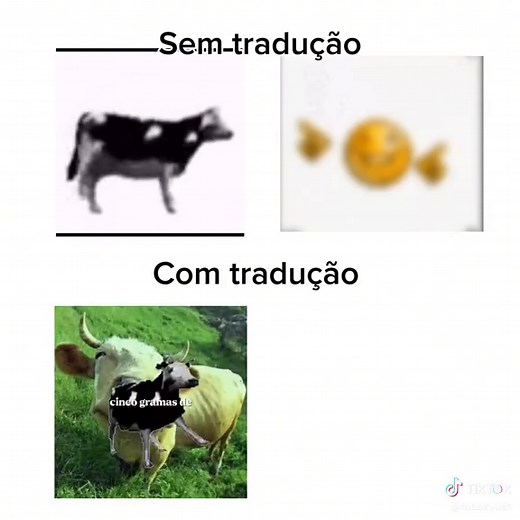 Exploring the Meaning of Polish Cow Song