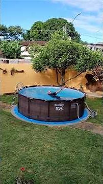 My nearly 10,000-liter pool - Bestway Steel Pro Max - Deluxe