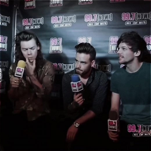 Liam Payne on One Direction Crushes and Larry Stylinson