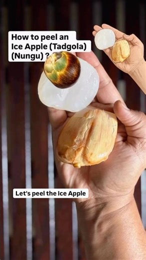 How to peel Tadgola (Nungu) (Munjulu) (Ice Apple) ? #ytshorts
