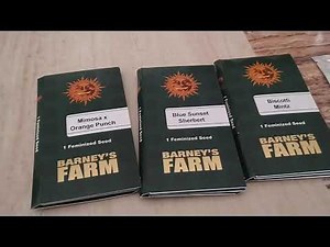 New Seed Shipment. Barney's Farms