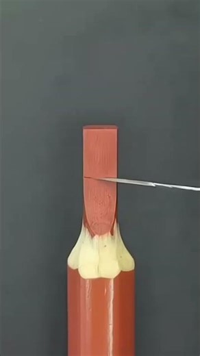 Making Creative Crafts from Colored Pencils #shorts