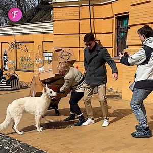 34K views · 492 reactions | Incredible Dog Helps Elderly Woman | Fabiosa Life Stories | Facebook