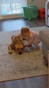 To license this content please click here: https://www.jukinmedia.com/licensing/view/1281470?utm_source=RMsocialpost&utm_medium=RMsocialpost | Jukin Copyright Management | Facebook