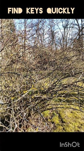 HELP - can you find my keys? SPEED and ATTENTION TEST