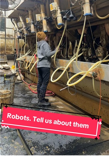 Exploring Robot Integration in Dairy Farming