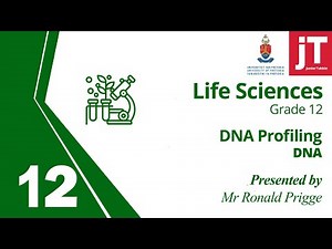 1. Gr 12 - Life Sciences - DNA - DNA Profiling