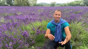 153K views · 4.7K reactions | Levendula. Levendula mező. Levendula nyári metszése. | Egy Kertész Kertje Pilisszentkereszten | Facebook