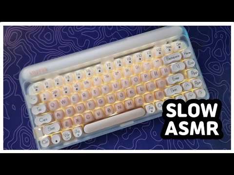【SLOW ASMR】 LOFREE DOT⌨️ | Gateron Baby Racoon | Keyboard Typing ASMR | No ADs No Talking😴