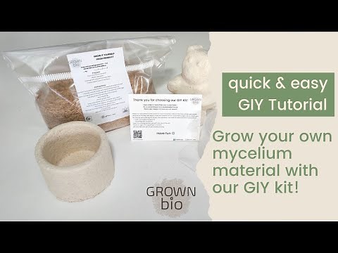 Grow your own mycelium product - 5 easy steps & GIY kit | Grown Bio