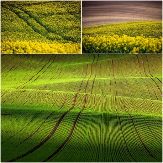 Spring Desktop Wallpaper Set • Spring Nature Wallpaper • Fresh Green Landscape Background • Moravia Wallpaper •digital Download - Etsy