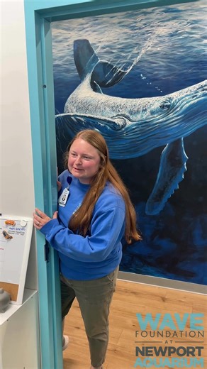 Team WAVE knows how to show up in style! 🕺 Did you know you can buy your own WAVE merch? You can slay like a ray with designs like the shirt Sophia is wearing and many more on our Dashery! 👕 There are even designs that help you educate the people around you. Might we suggest the "Respect The Locals" design with native fish 🐟, reptiles 🐢, and amphibians? 🐸 We'd love to see your WAVE out-fish! Post a picture in the comments! Don't have any WAVE merch yet? Order your own and support our educat