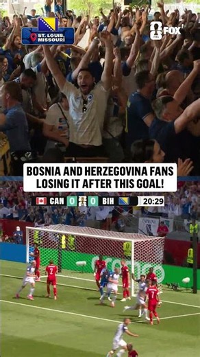 Bosnian fans react to their country's first FIFA World Cup goal since 2014 🇧🇦