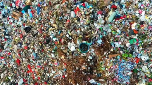 Listening to the Sounds of Nature: A Guide