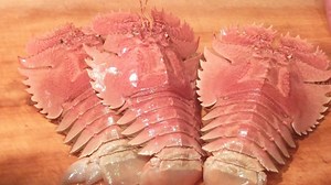 Sashimi of live sea urchin prawns - Japanese cuisine of Yamato Sashimi | Amazing Food Taste