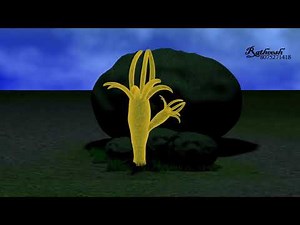 (Reproduction in organisms)- Reproduction of Hydra