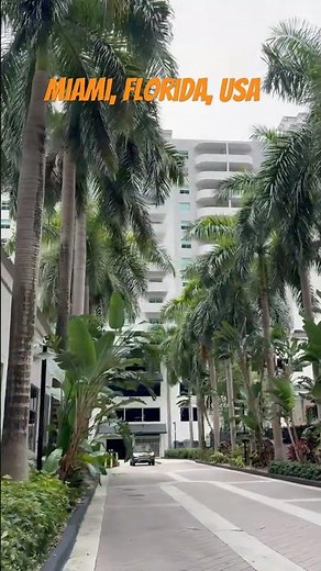Downtown Miami City Tour & Skyline Views