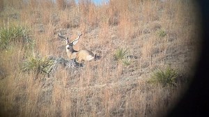 Soaking up the sun | Scott Kuhn