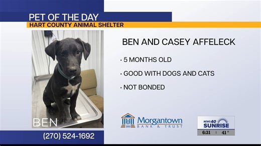 Pet of the Day: Ben & Casey Affleck - WNKY News 40 Television