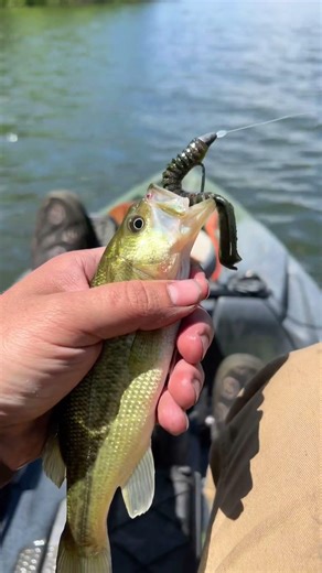 Patoka lake trip 2025 #fishing #kayakfishing #largemouthbass