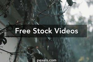 Raindrops Videos, Download The BEST Free 4k Stock Video Footage & Raindrops HD Video Clips