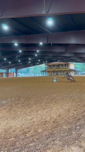 👑All i do is win win win no matter what 👑